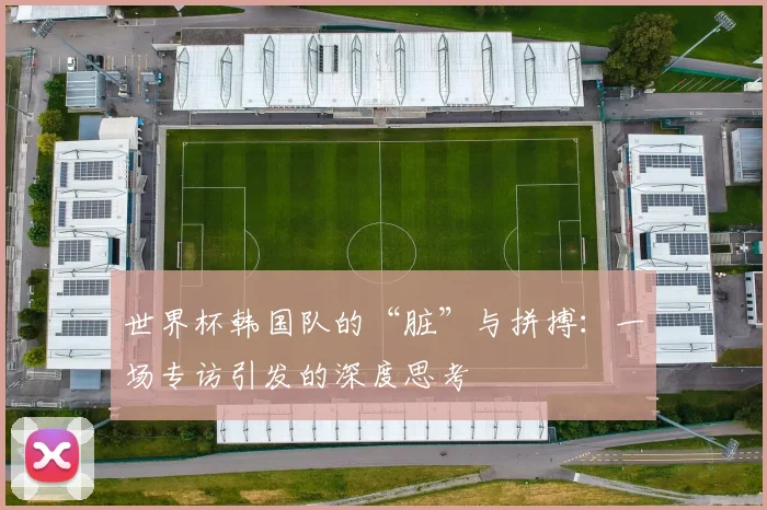 世界杯韩国队的“脏”与拼搏：一场专访引发的深度思考